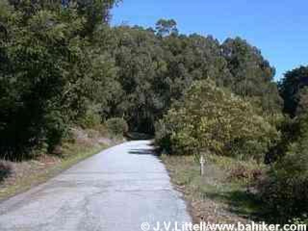 Old Guadalupe Trail