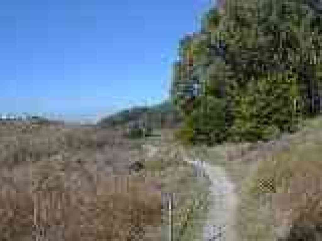 Trail splits