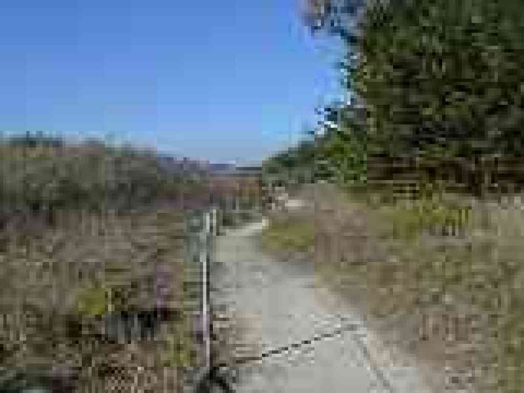 Bog Loop