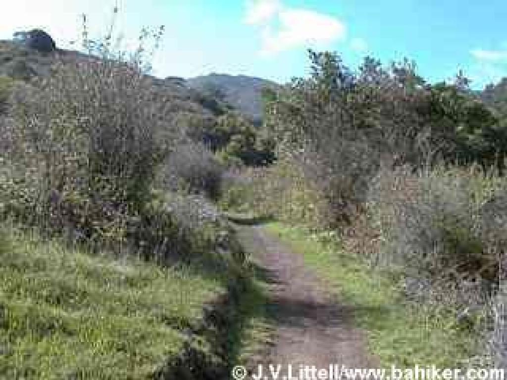 Hazelnut Trail