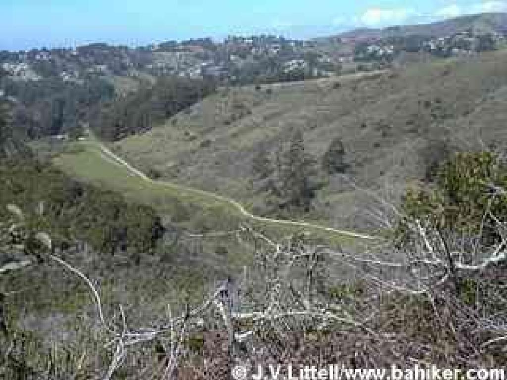 View to Weiler Ranch Road