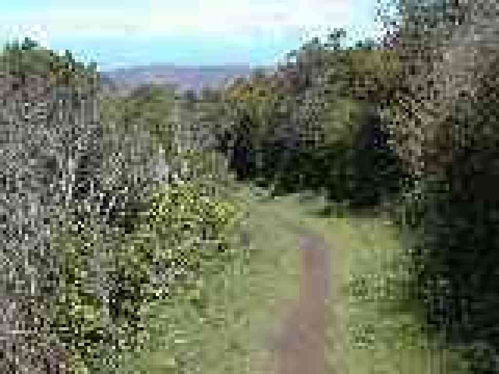 Starting to descend