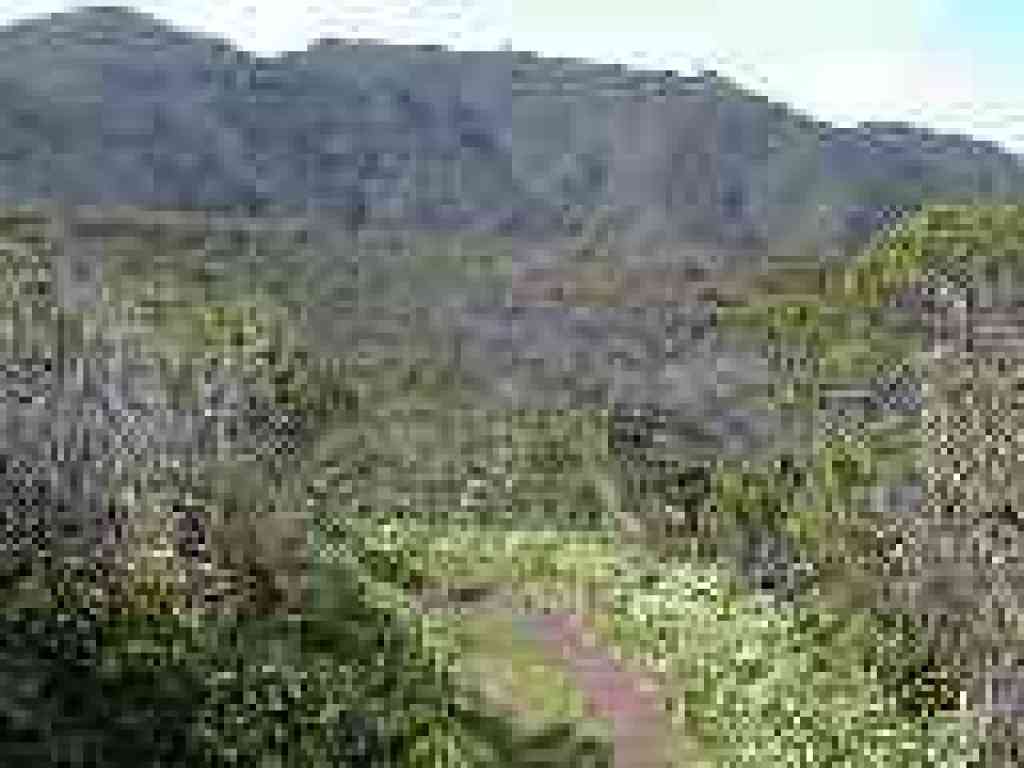 Montara Mountain