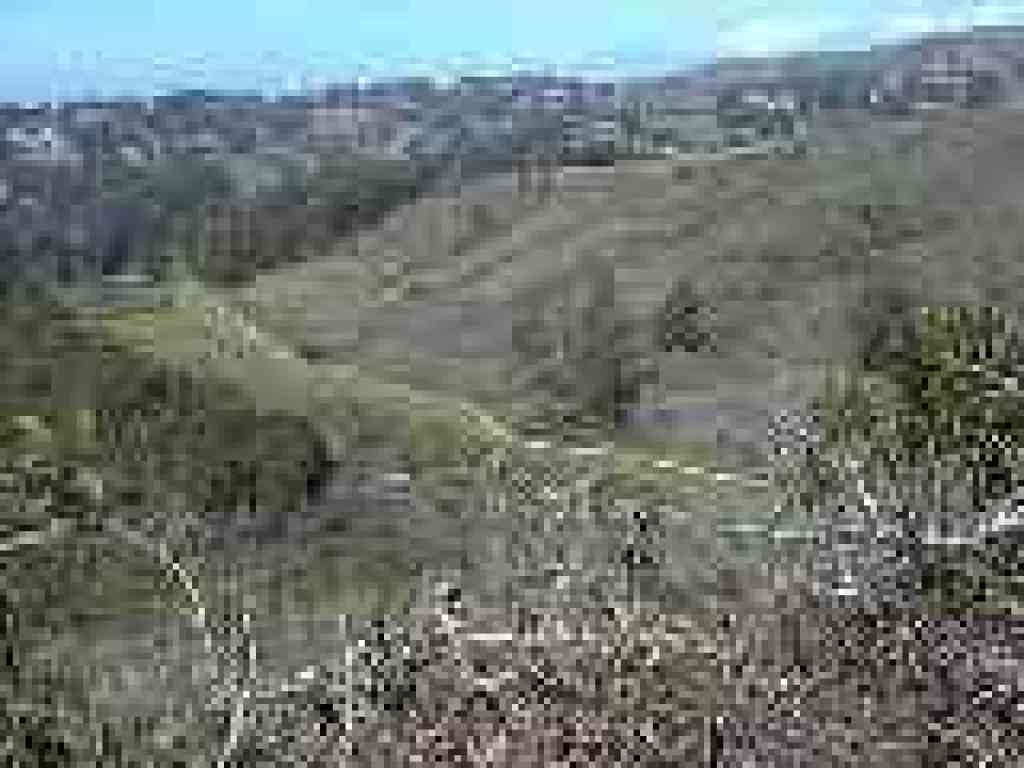 View to Weiler Ranch Road