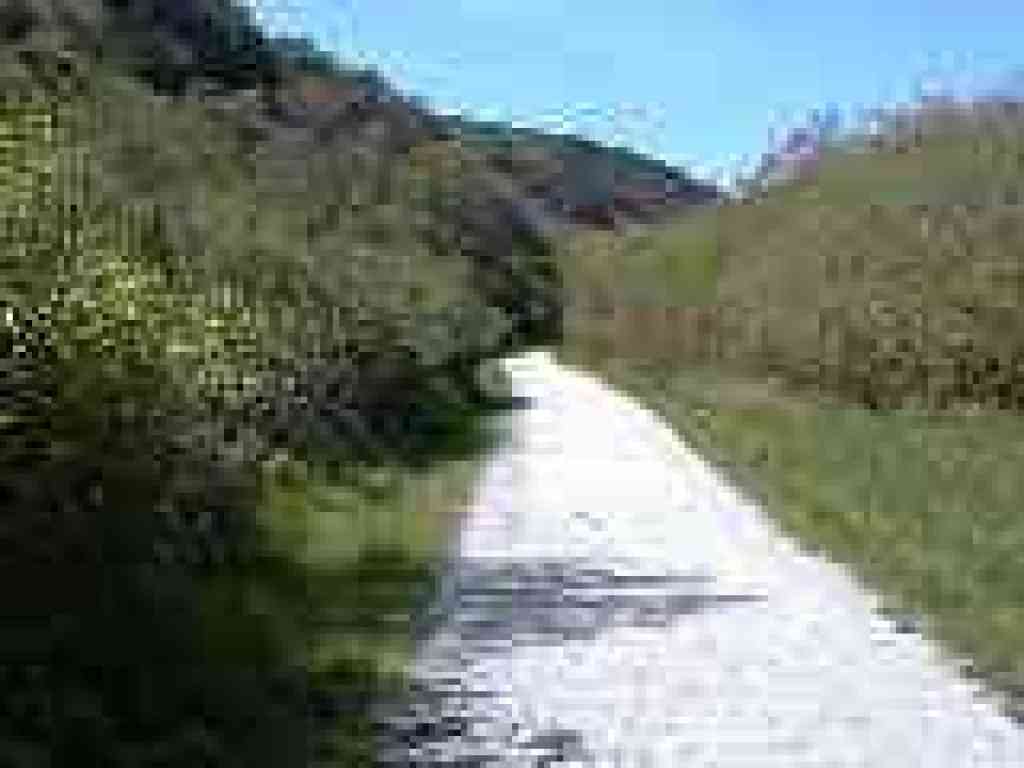 Weiler Ranch Road