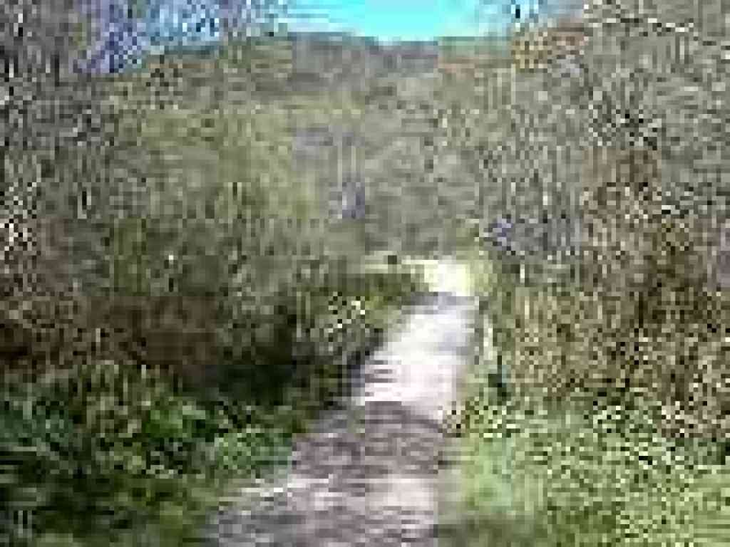Creek crossing