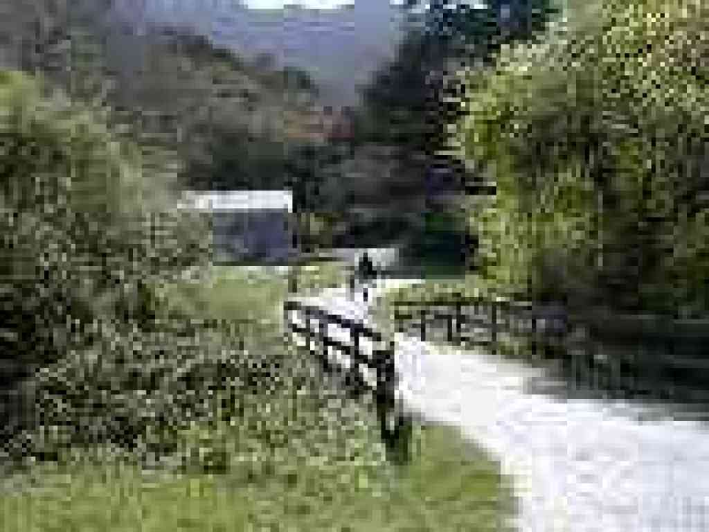 Near group picnic areas