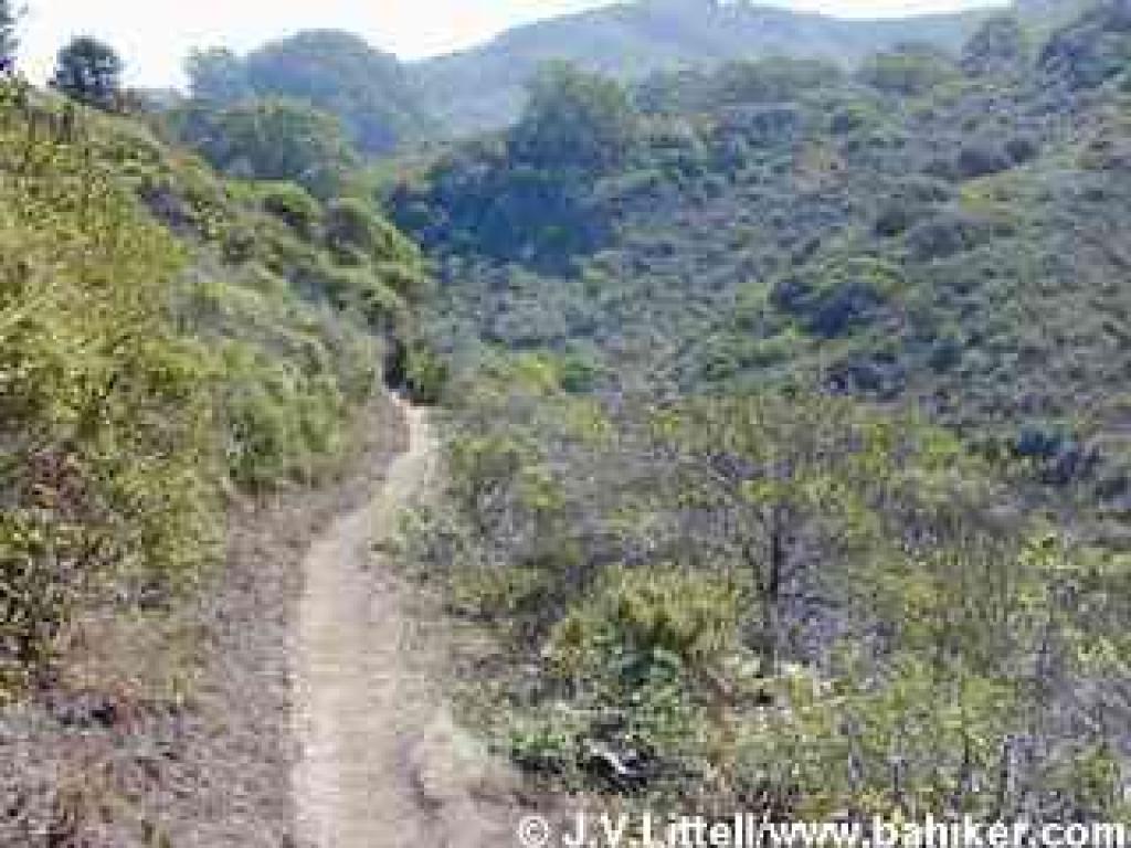 Brooks Falls Trail