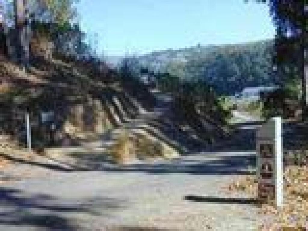 Crossing a service road