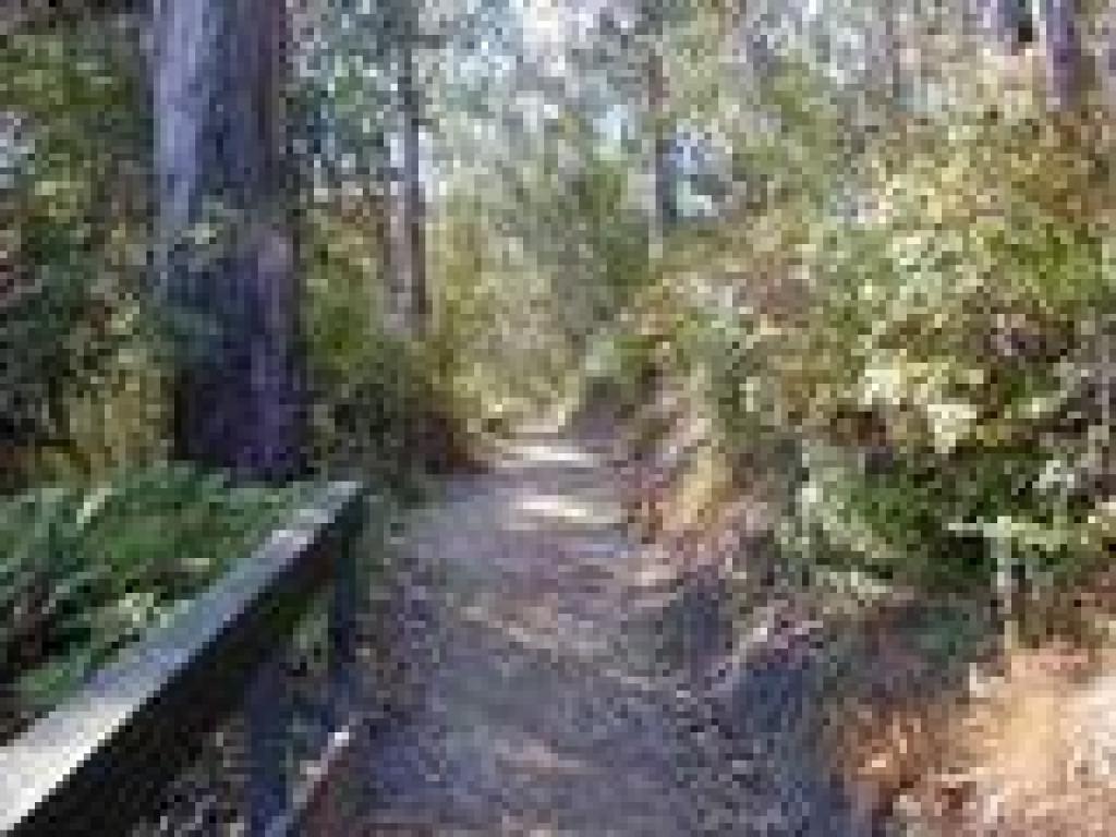 Montara Mountain Trail