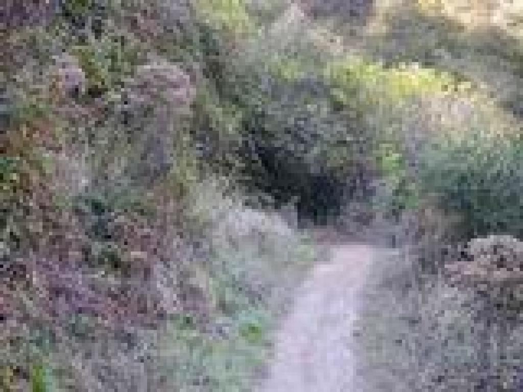 Switchback
