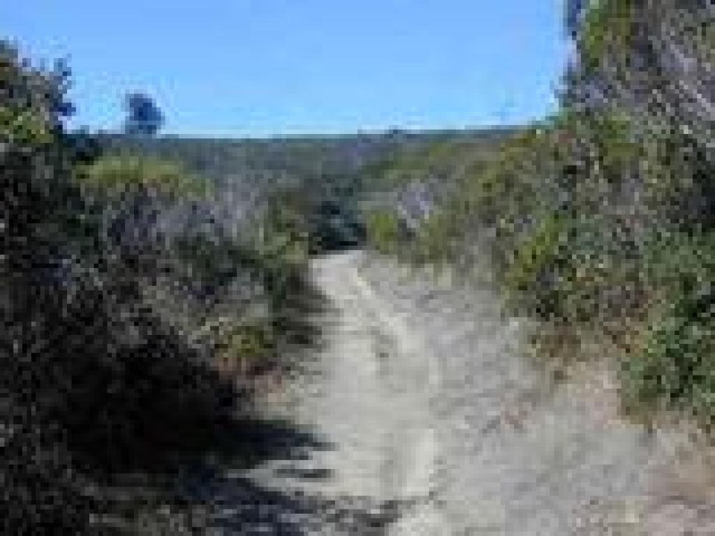 Emerging into chaparral