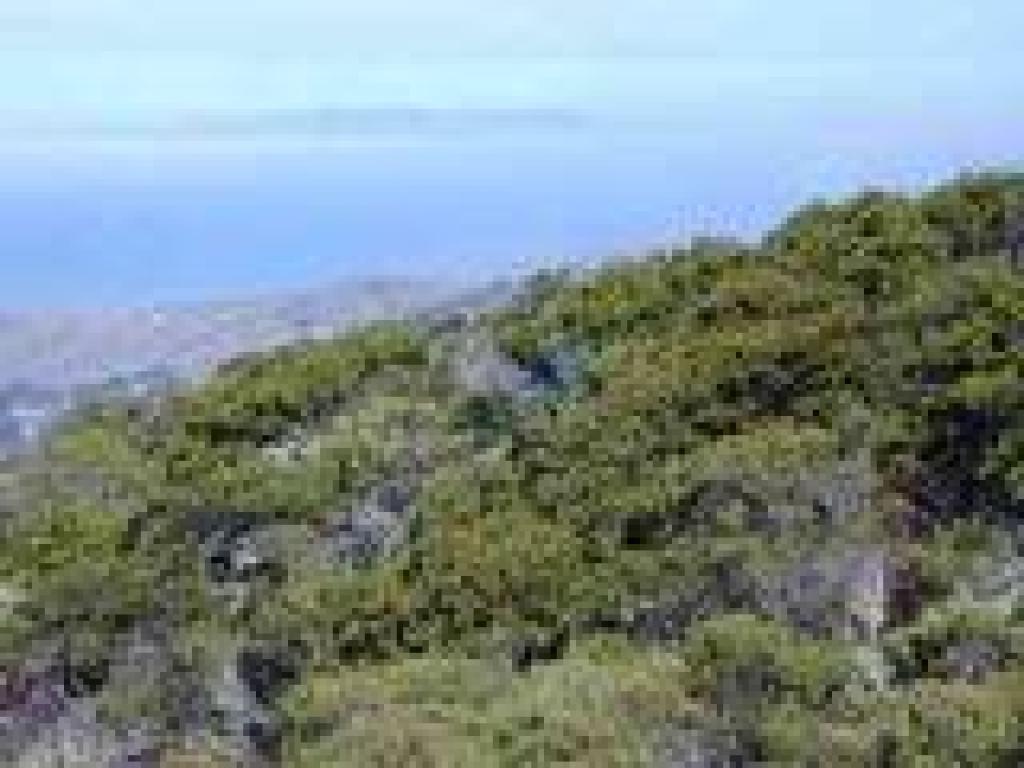 View northwest to Mount Tamalpais