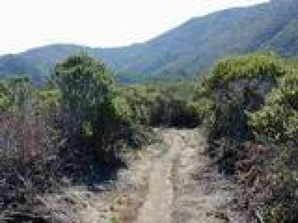 Brooks Falls Trail