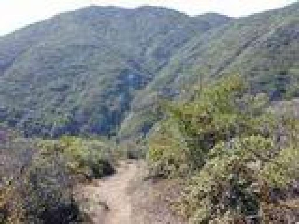 Descending