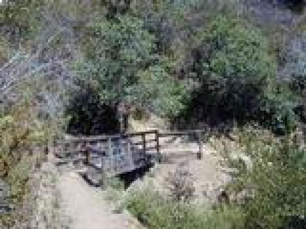 Bridge