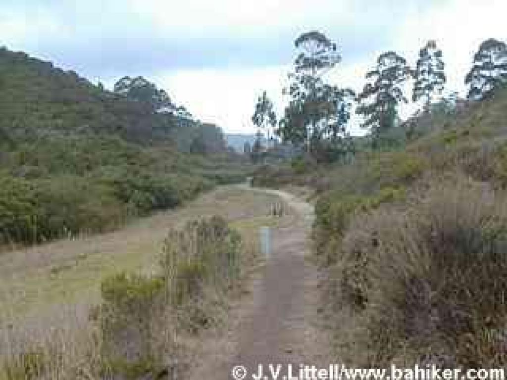 Valley View Trail