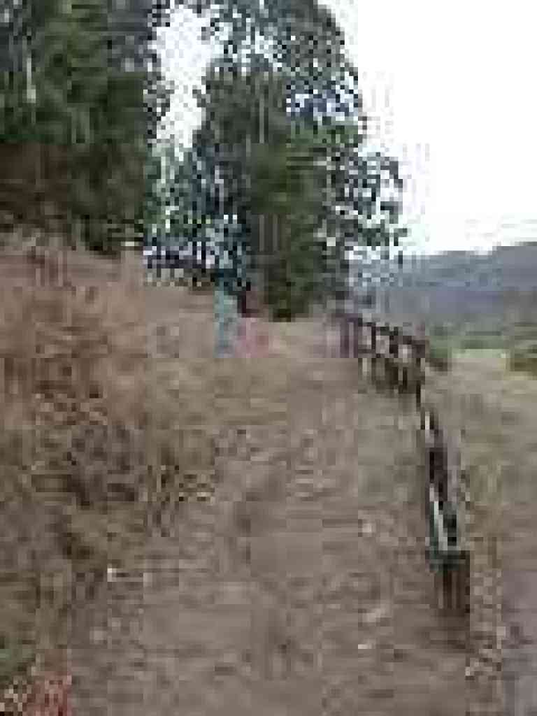Valley View Trail