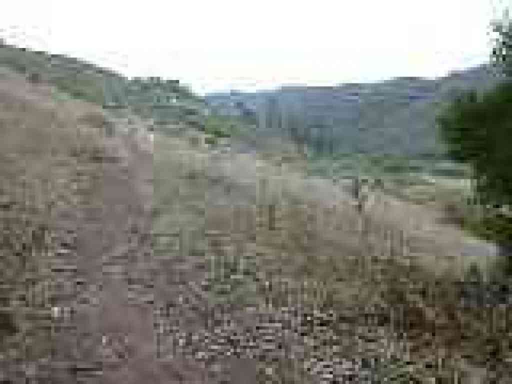 Into grassland