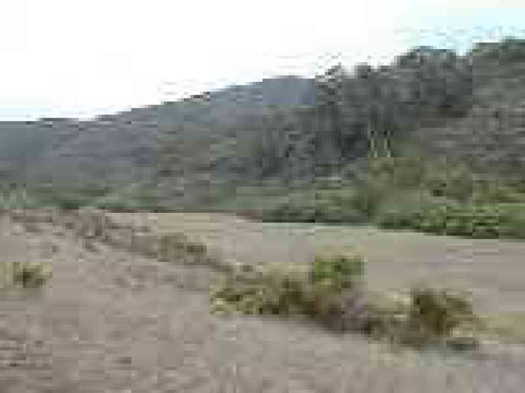 First valley views