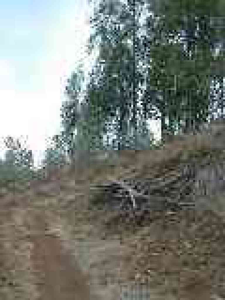 Trail curves right