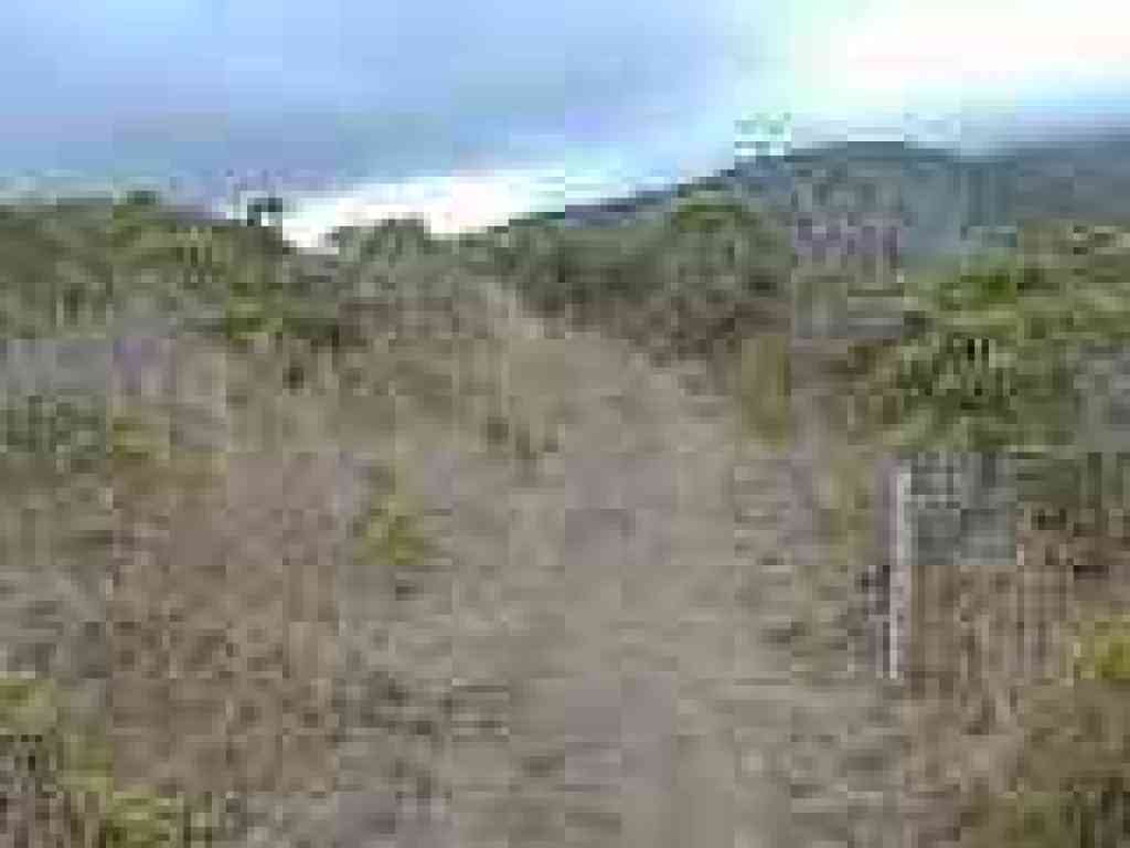 Small paths depart to the left