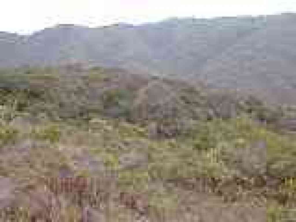 Trail ahead is visible