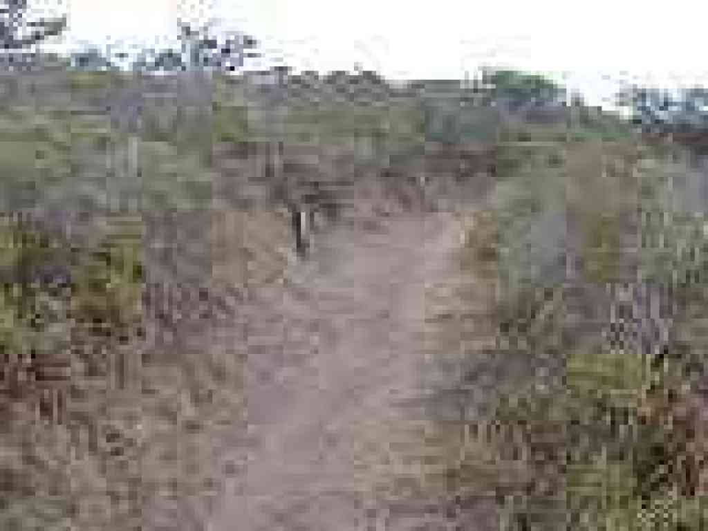 Valley View Trail