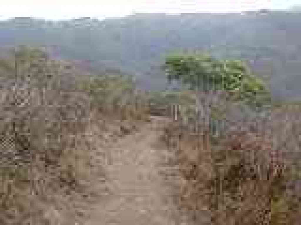 Descending