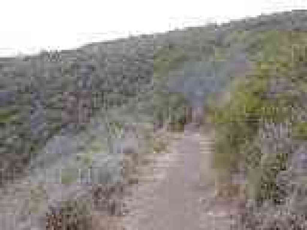 Valley View Trail