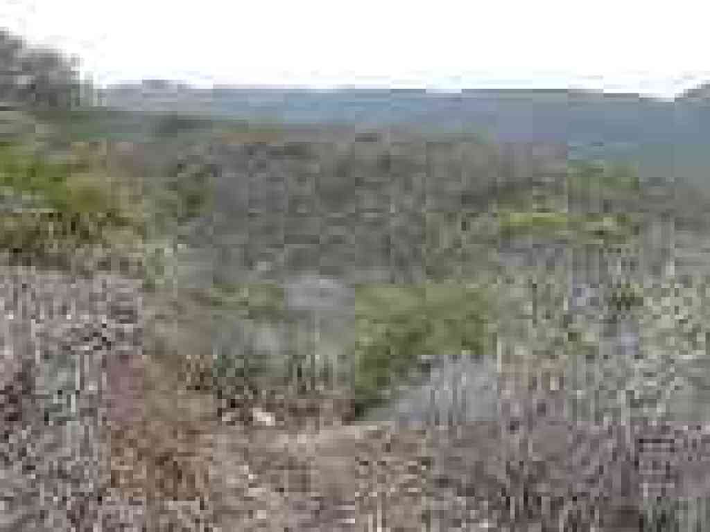 Rocky stretch