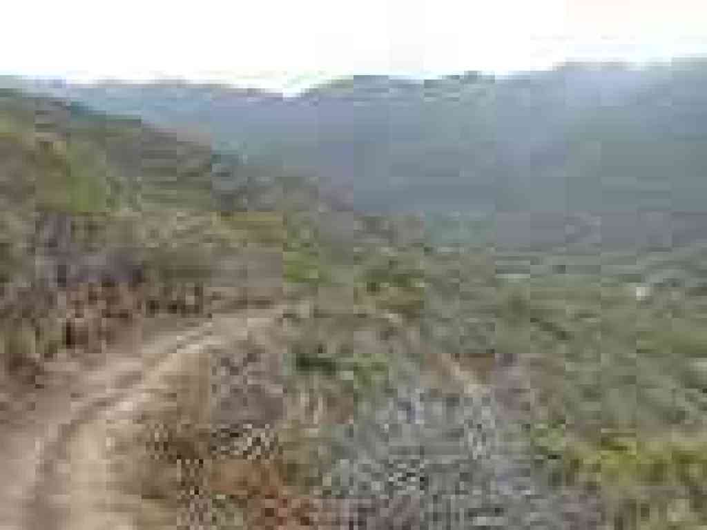 Switchback