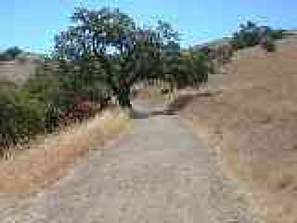 Hidden Springs Trail