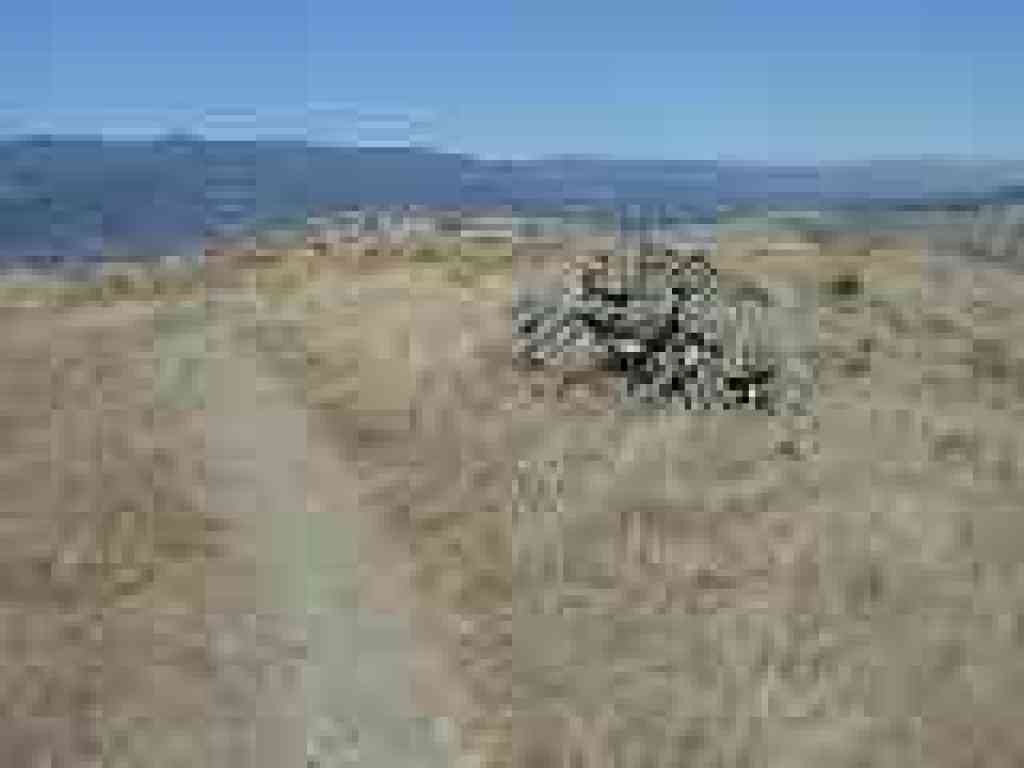 Rocks on the side of the trail