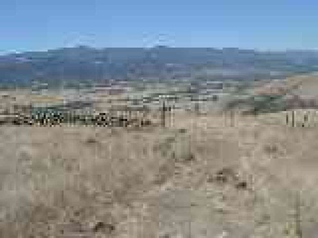 Crossing an old stone fenceline