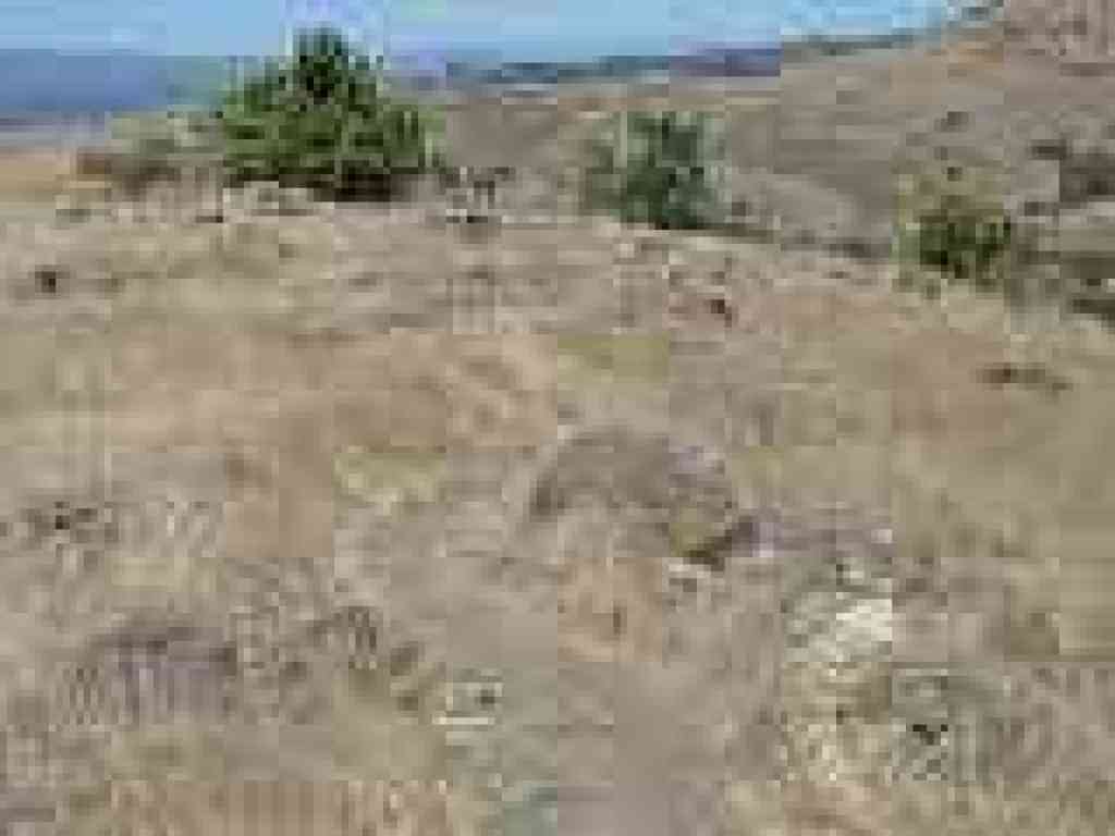 Trailside gets even rockier