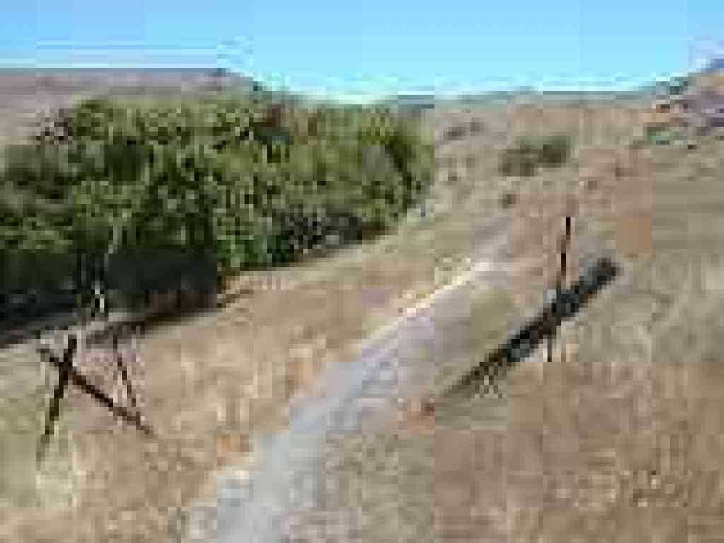 Another old fence line