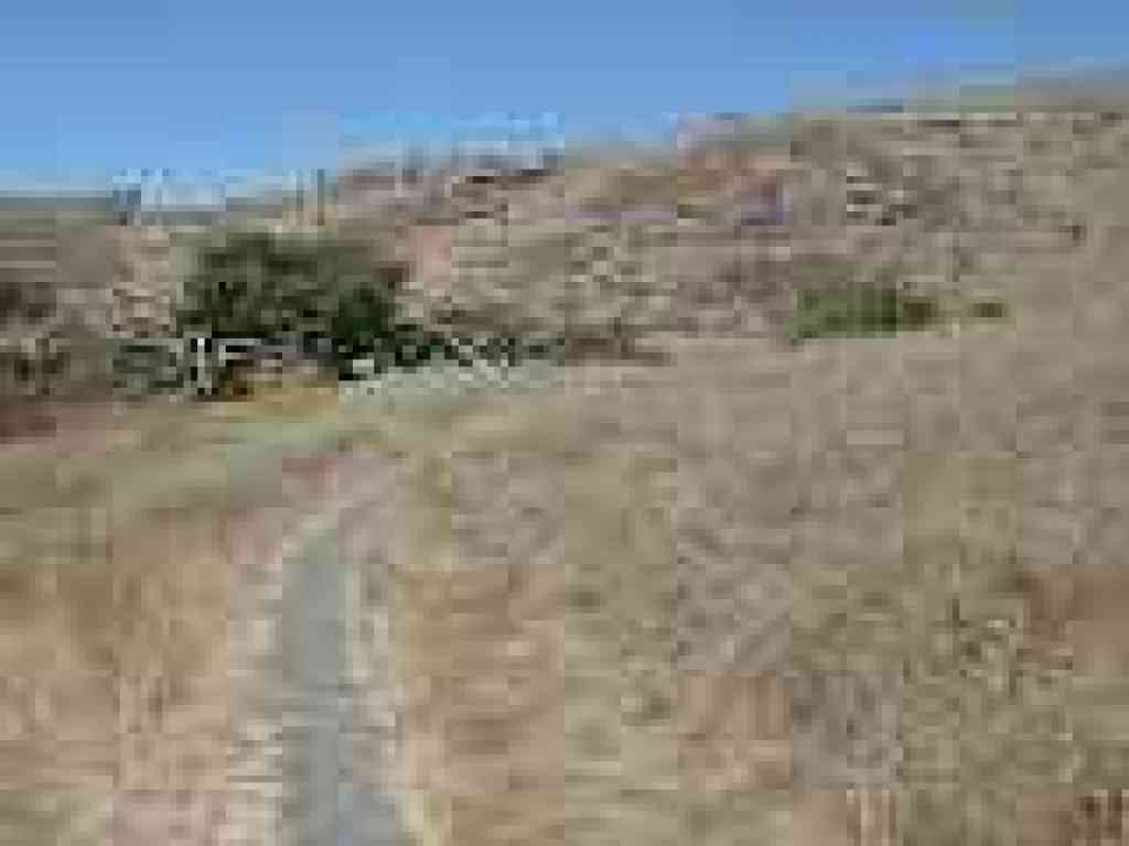 Lots of star thistle through here