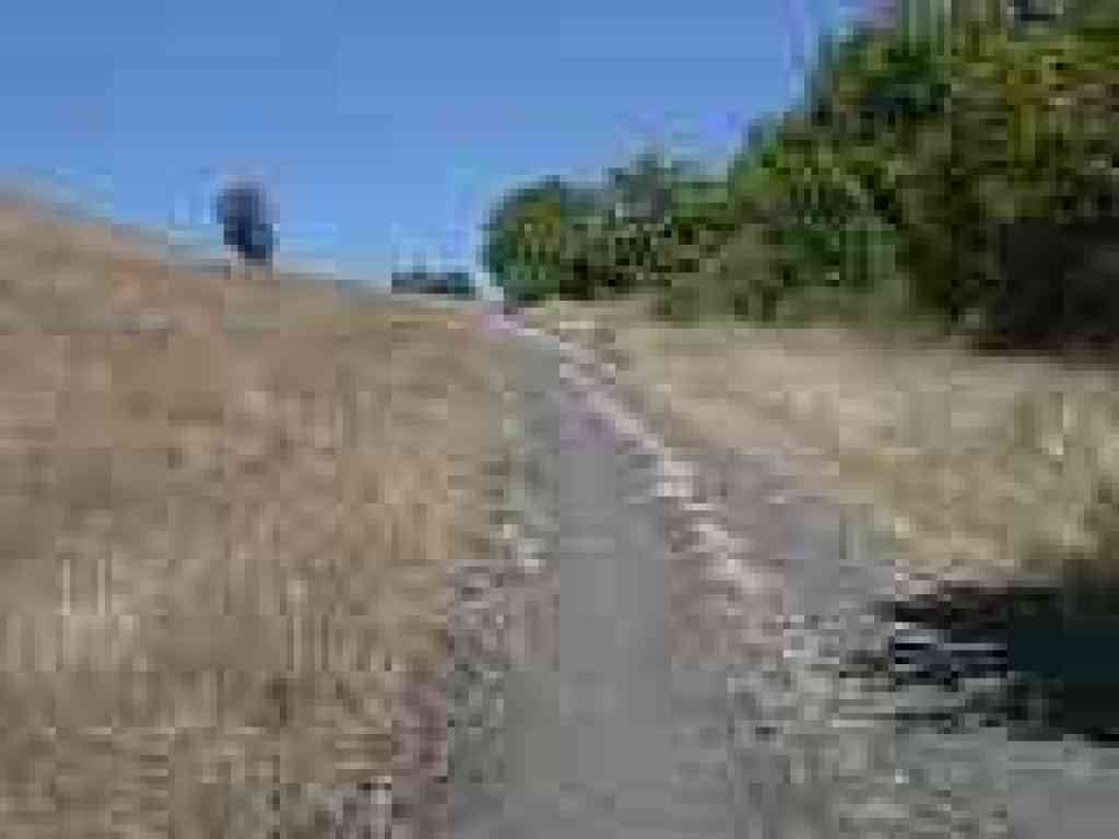 Edging along a creek