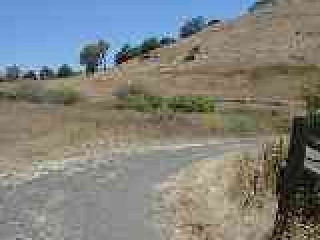 Approaching a damp seep