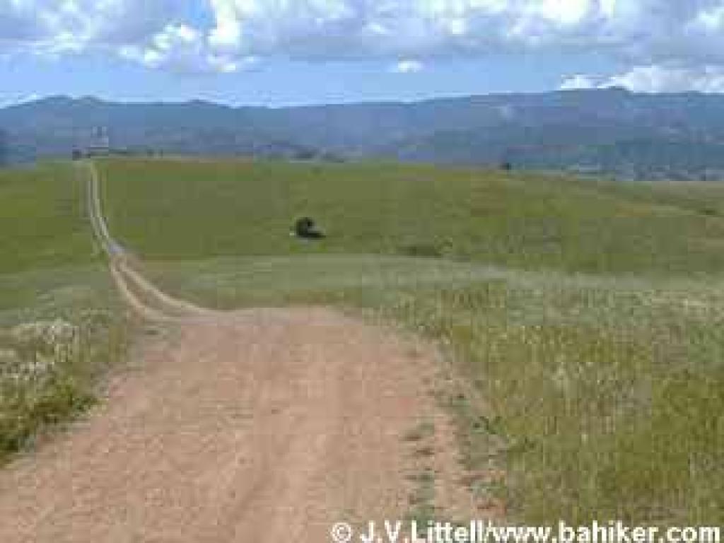 Photo of Coyote Peak Trail in spring