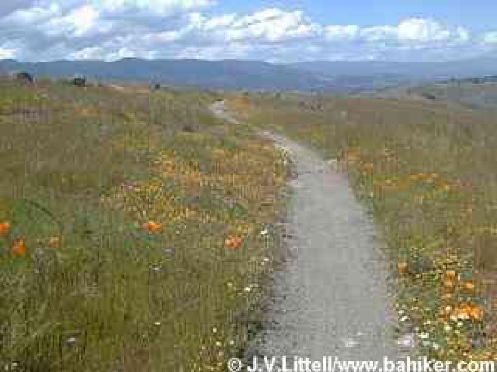 Rocky Ridge Trail