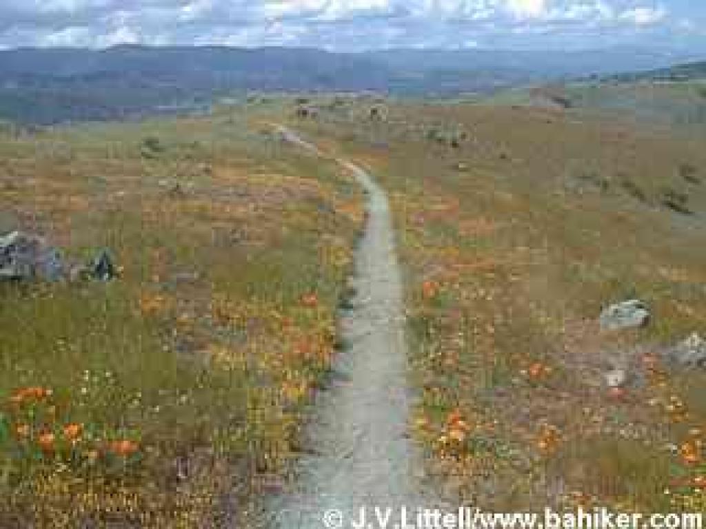 Rocky Ridge Trail