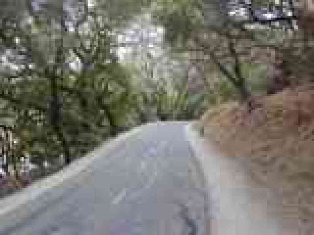 A wooded stretch
