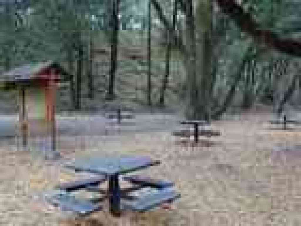 Picnic area
