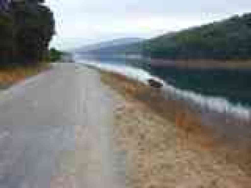 View south