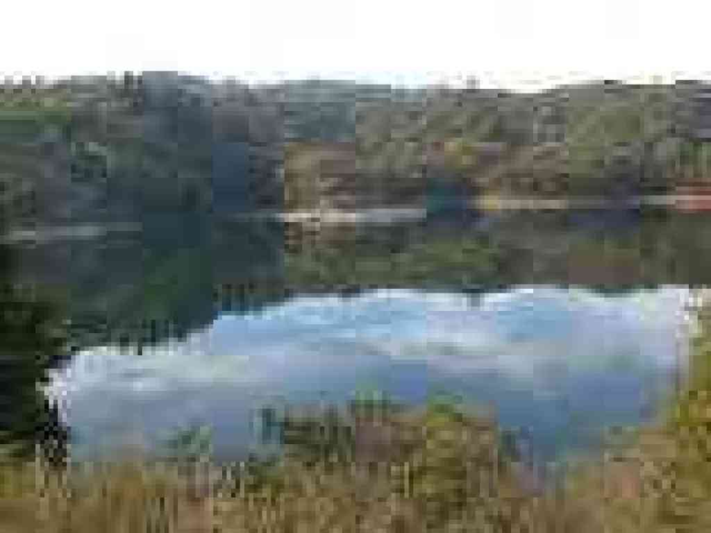 Crystal Springs Reservoir from Sawyer Camp Trail 