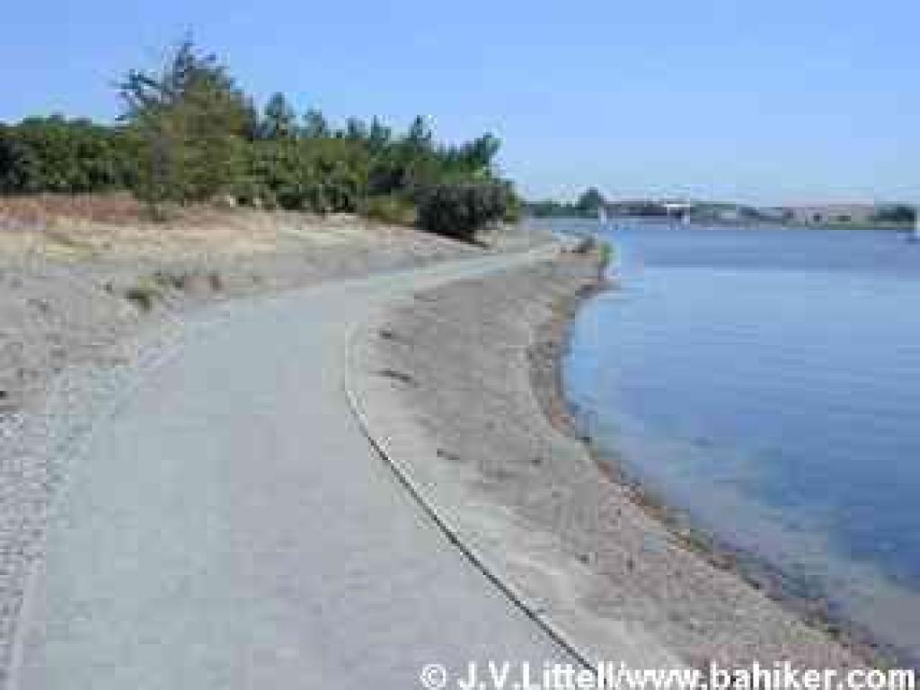 Along Shoreline Lake