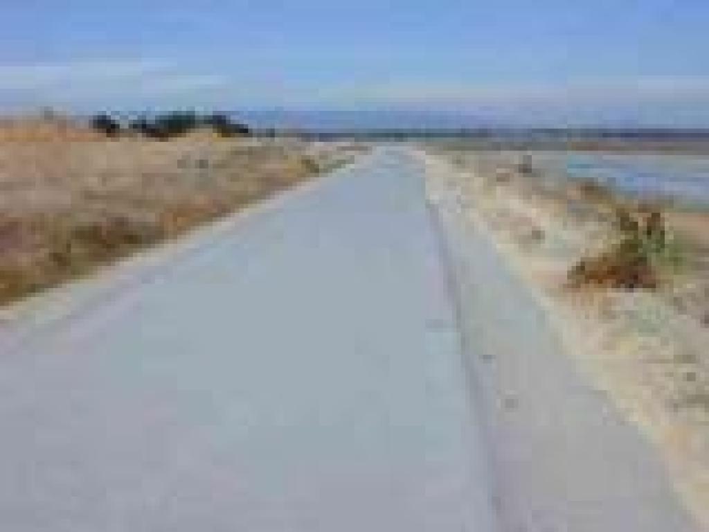 Trail