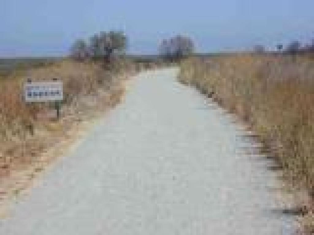 Levee trail through Charleston Slough